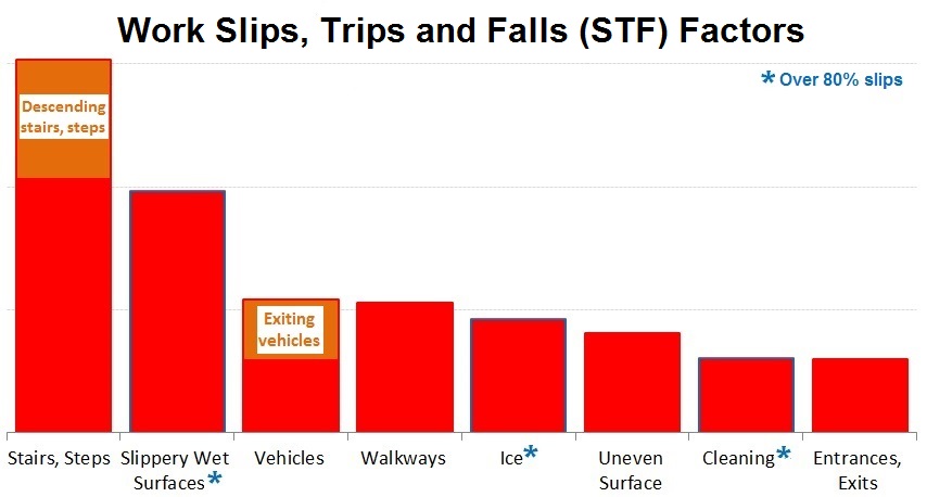 Slips Trips and Falls Factors Slips Trips and Falls Factors